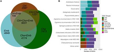 Cell Wall Enzymes in Zygnema circumcarinatum UTEX 1559 Respond to Osmotic Stress in a Plant-Like Fashion